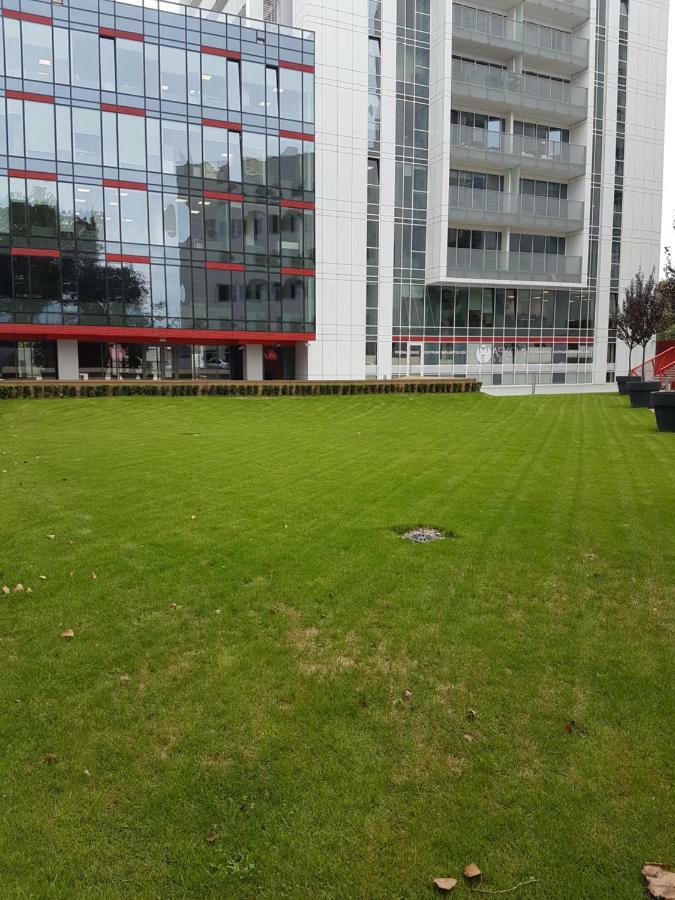 Apartament Towarowa 37 Poznan Exterior foto